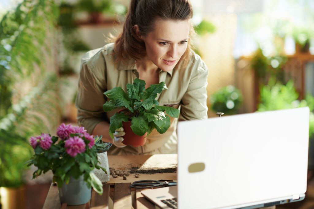 A florist leans into her laptop searching for marketing advice